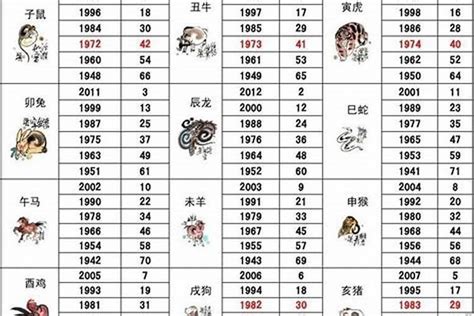 2024年生肖猪|属猪的人2024年全年运程运势